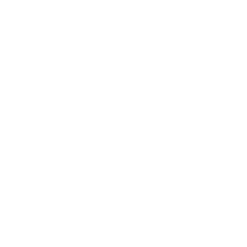 tamayo (1)