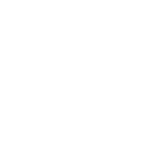 LOGO MOMENTUM 130723 copia (1) (3)